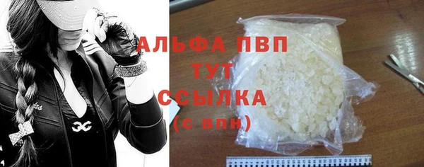 дживик Болотное