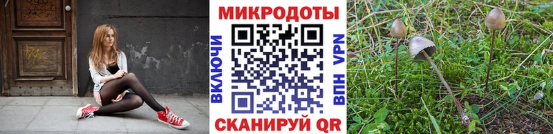 Псилоцибиновые грибы прущие грибы Нариманов